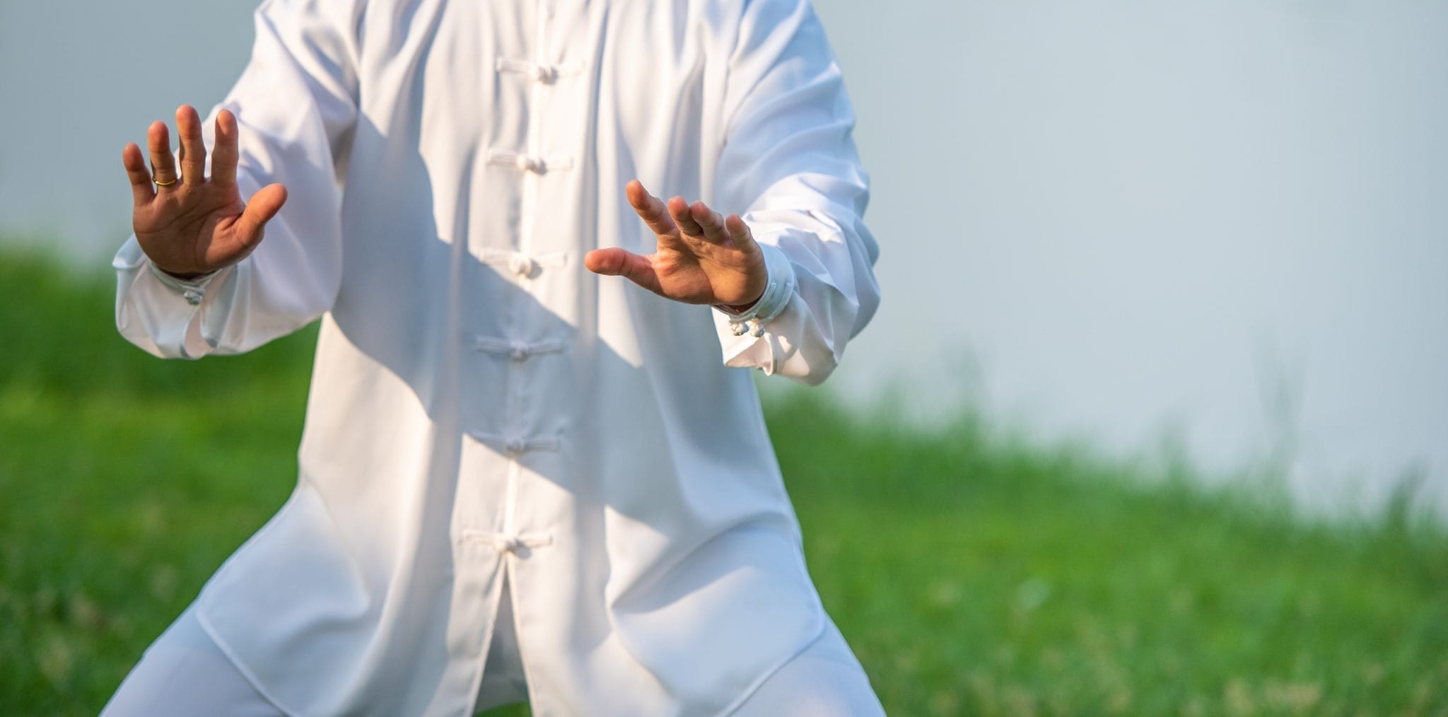 Taijiquan bzw. Tai-Chi-Chuan 1 beitrag tai chi chuan workout